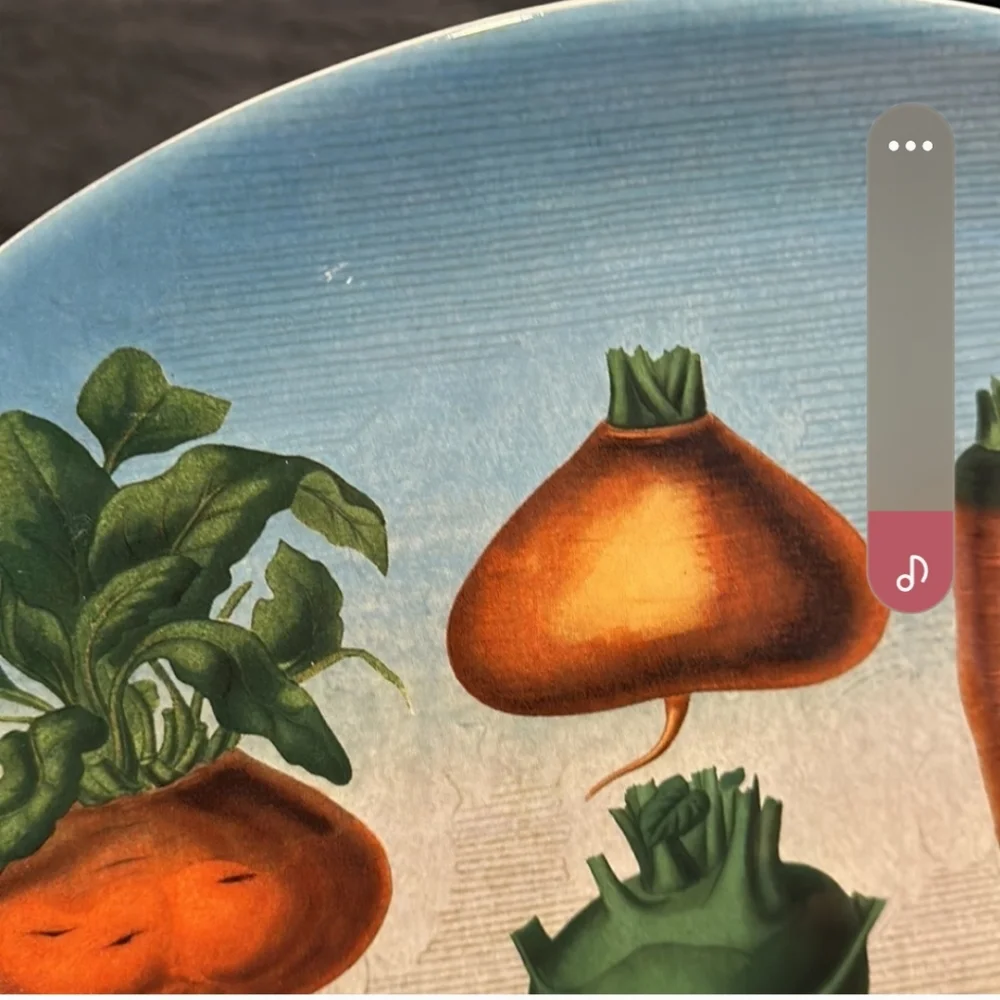 John derian dish